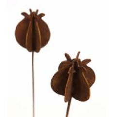 Stilig rust pinne i jern med en valmuekapsel. Disse er flotte til å dekorere hagen med da de smelter så fint inn blant planter og blomster. Mål: H80 x B10 cm