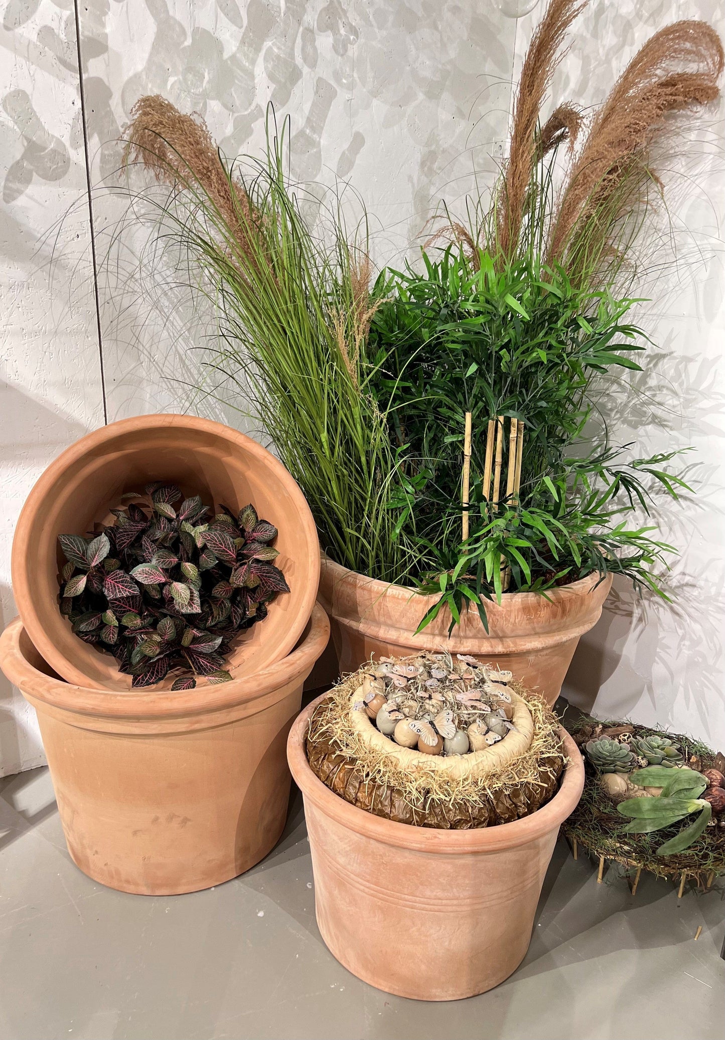 En klassisk krukke til hagen, terracotta er lekkert med rustdetaljer. Lages av dyktige håndverkere i Italia og kan stå ute året om. Plant alt fra blomster til trær.